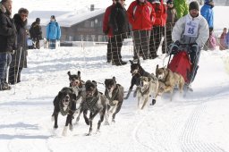 Lenk 2012 SM